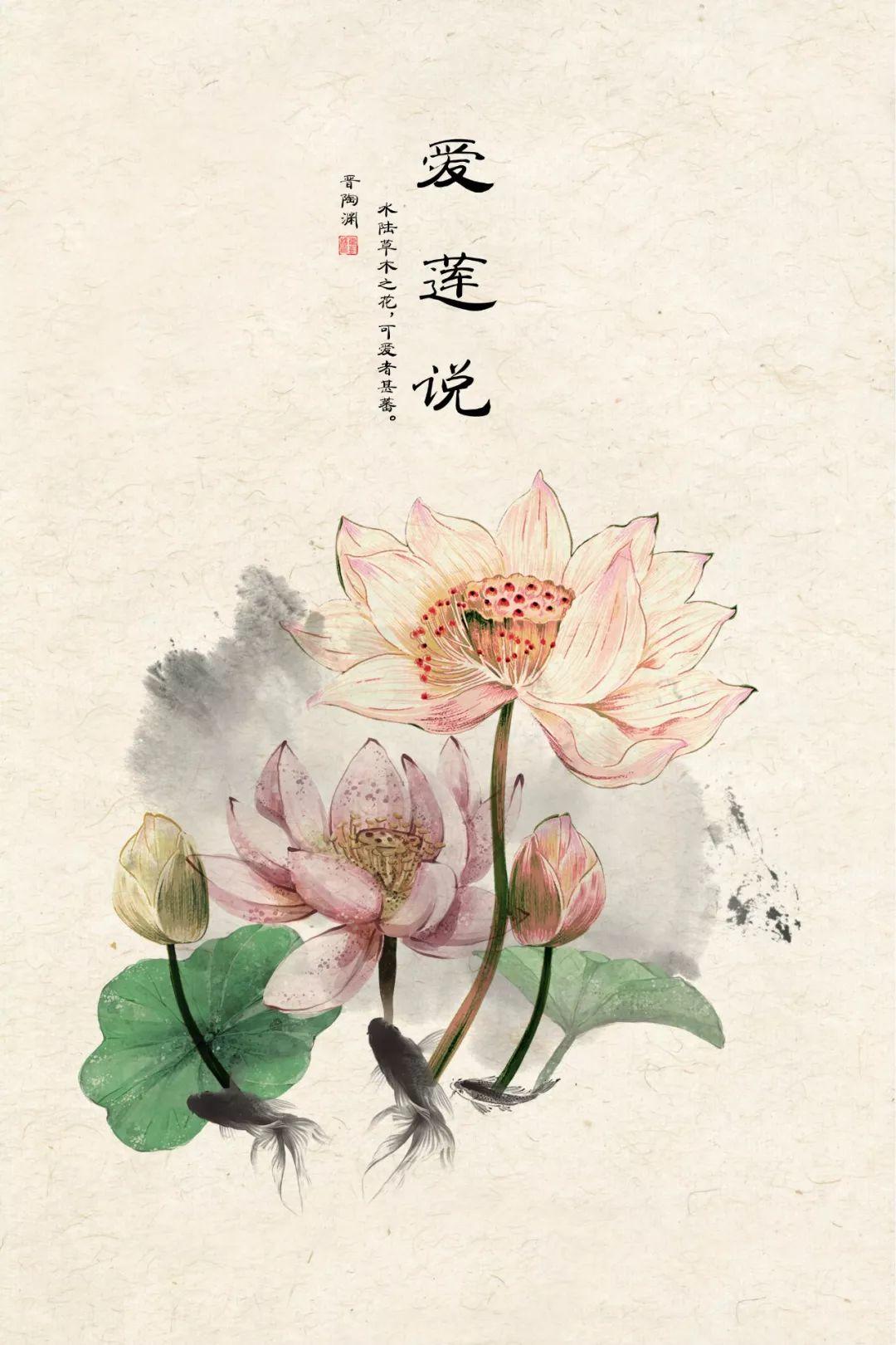 【S0009】中国工笔画精选
