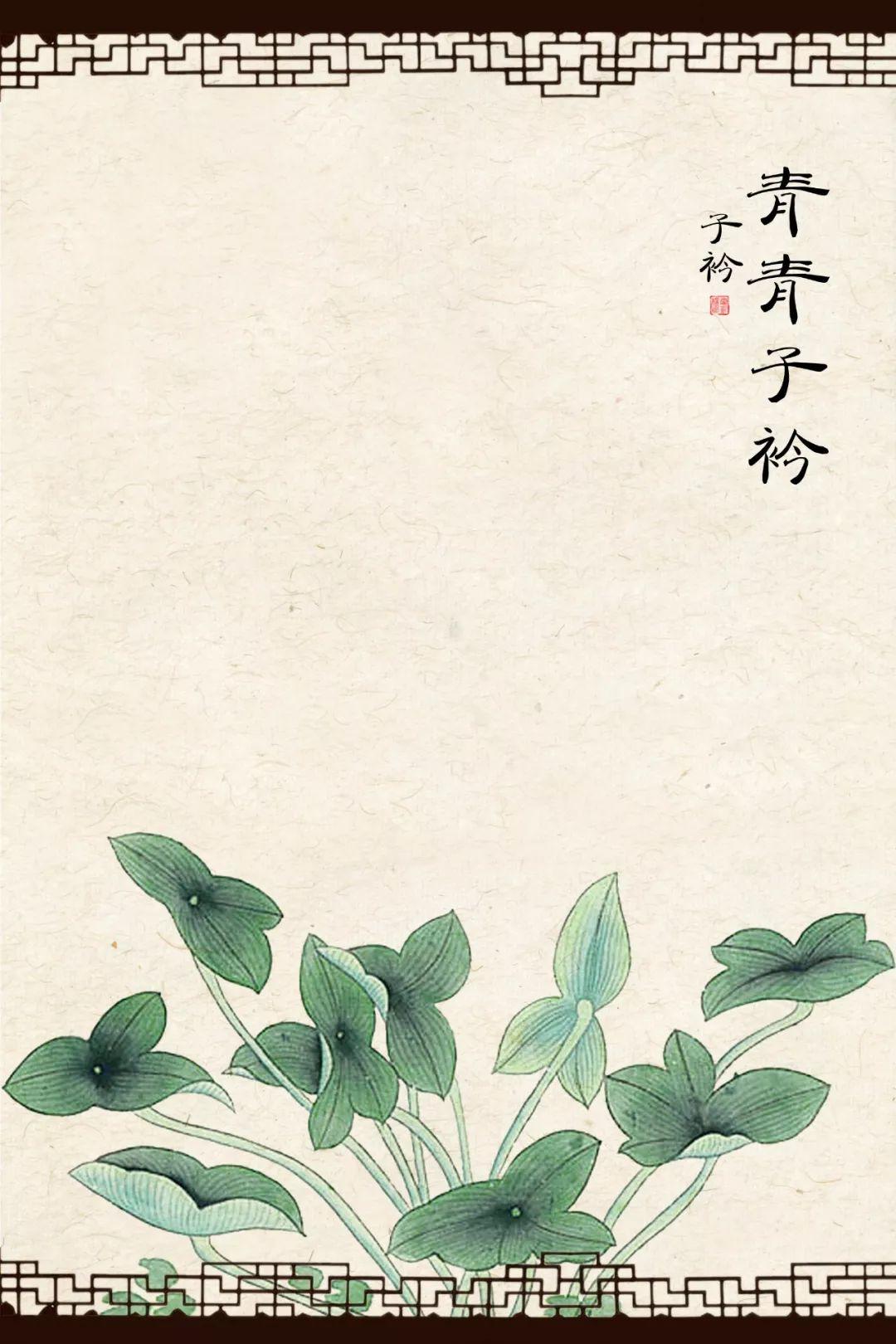 【S0009】中国工笔画精选