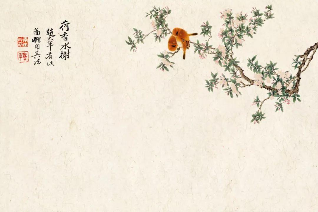 【S0009】中国工笔画精选