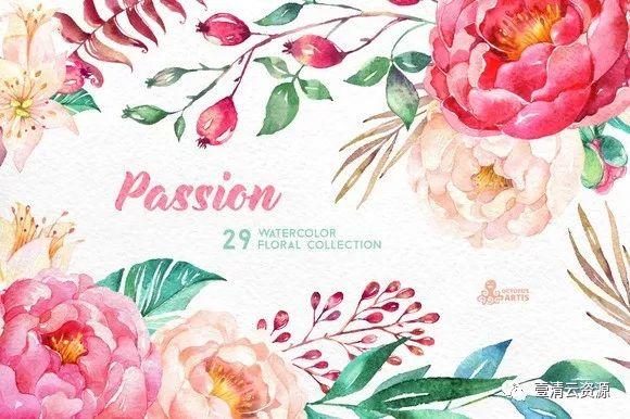 【S0029】【素材】水彩花卉植物素材