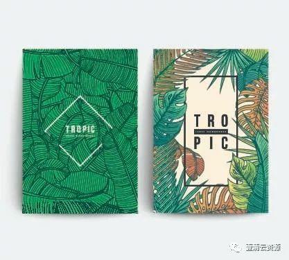 【S0075】【素材】时尚创意热带植物叶子英文卡片封面传单海报背景矢量图片设计素材