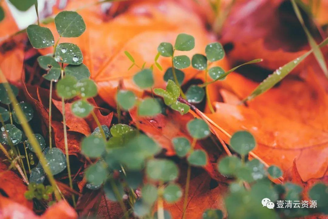 【S0112】【素材】秋天美景高清照片素材 Autumn photo pack