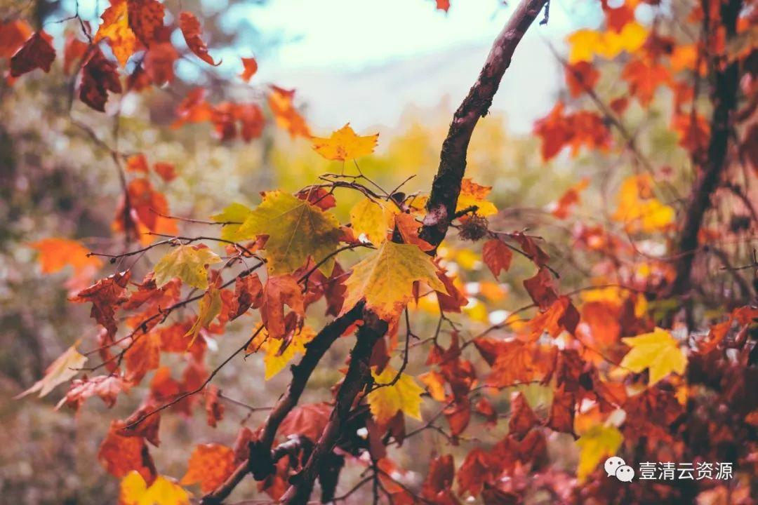 【S0112】【素材】秋天美景高清照片素材 Autumn photo pack