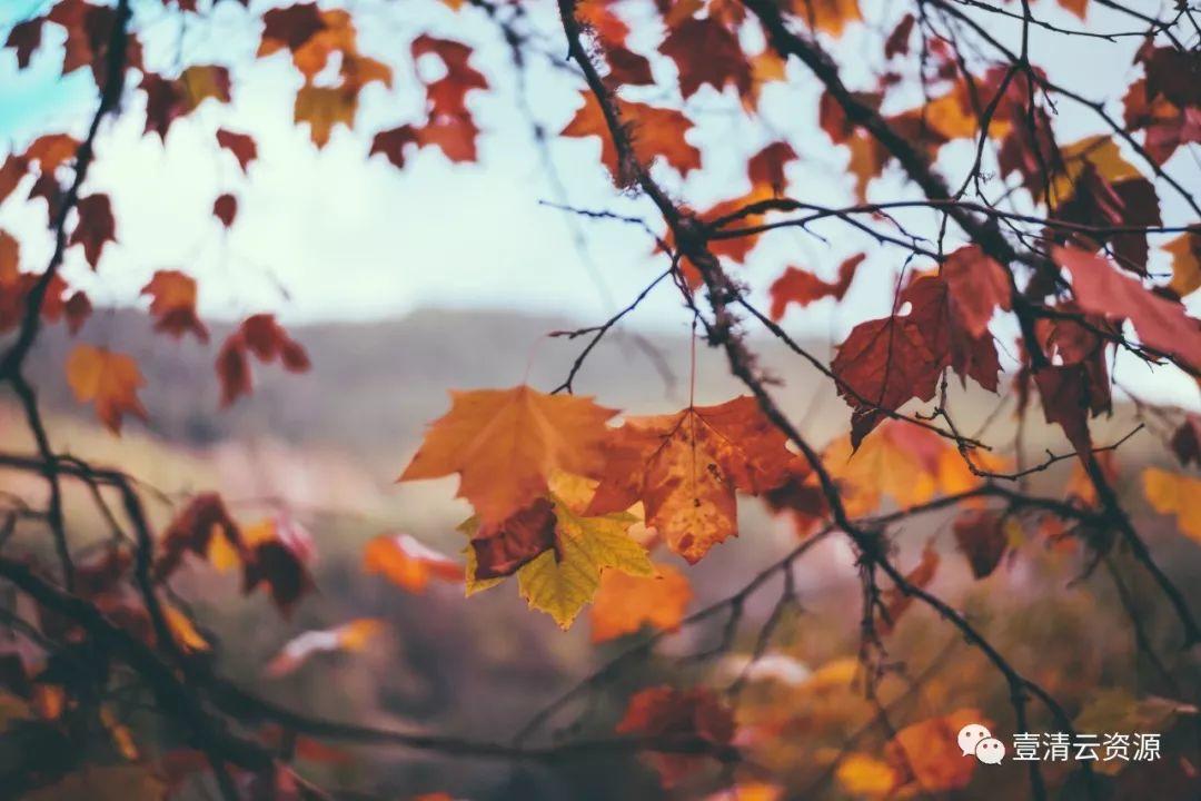 【S0112】【素材】秋天美景高清照片素材 Autumn photo pack