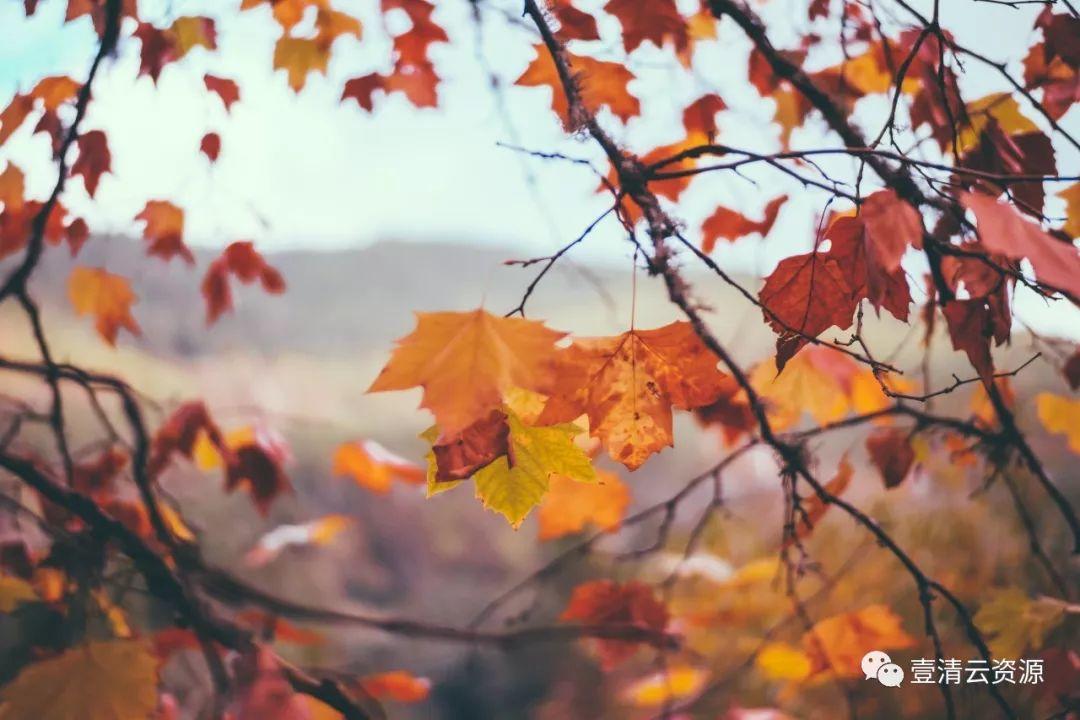 【S0112】【素材】秋天美景高清照片素材 Autumn photo pack