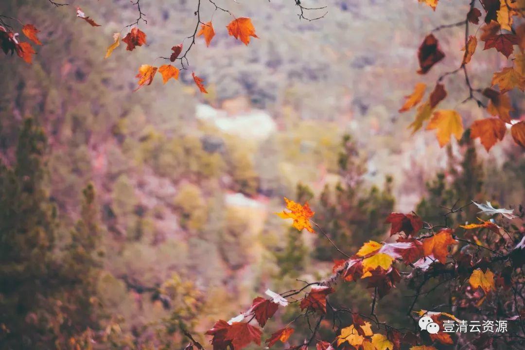 【S0112】【素材】秋天美景高清照片素材 Autumn photo pack