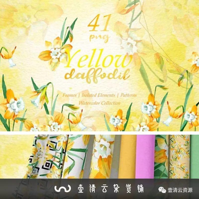 【S0130】【素材】手绘水彩黄色水彩水仙花环边框卡片贴纸背景PNG免抠PS素材