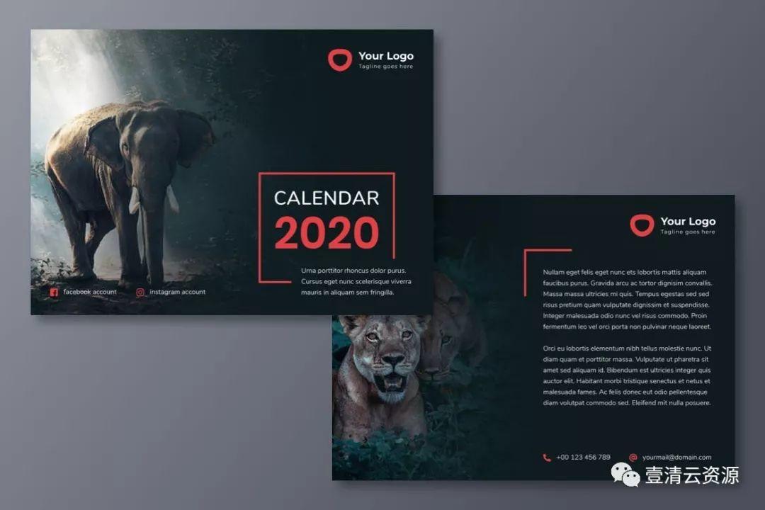 【S0294】【素材】动物摄影主题2020款活页日历设计模板设计素材源文件