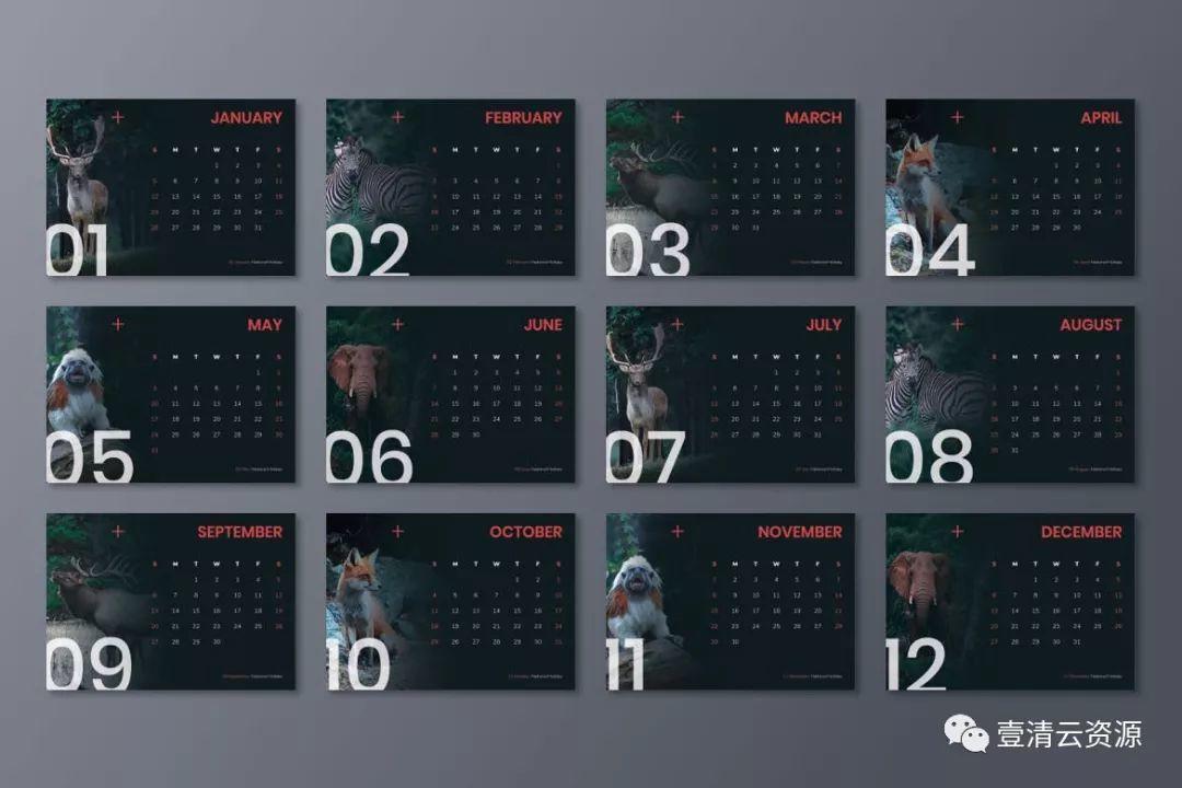 【S0294】【素材】动物摄影主题2020款活页日历设计模板设计素材源文件