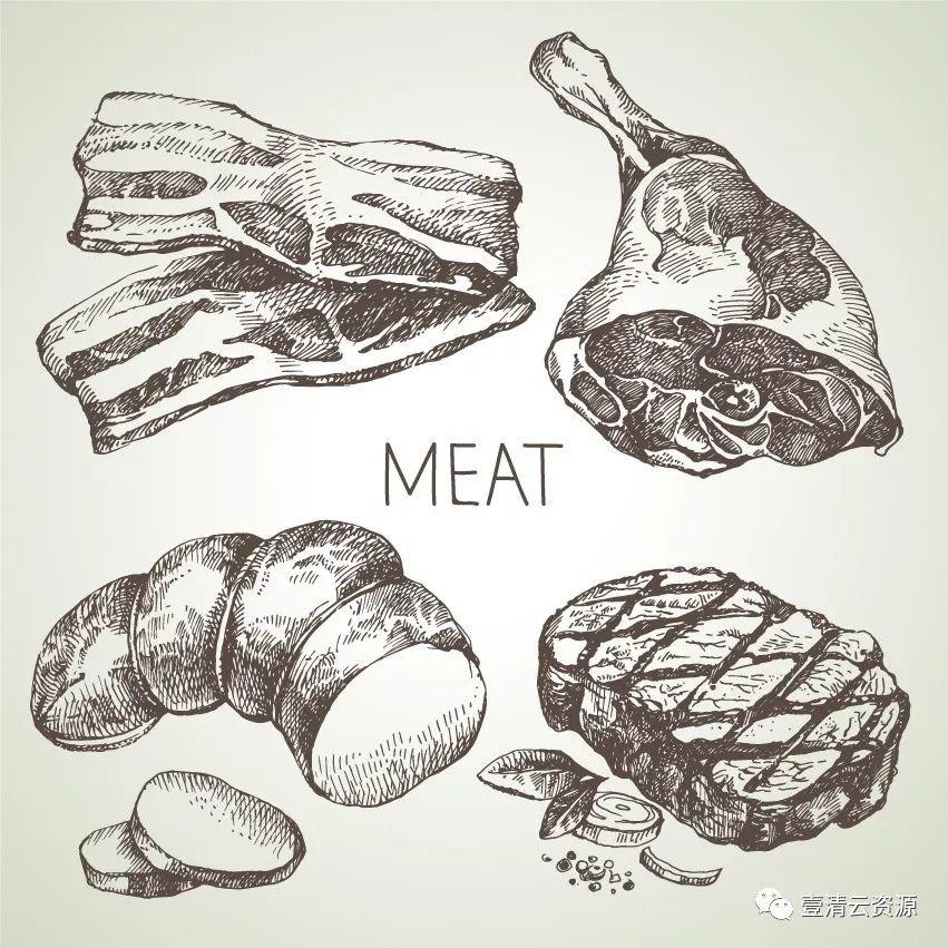 【S0348】手绘线稿插画食物食材蔬菜水果肉类海鲜背景菜单设计矢量图片素材