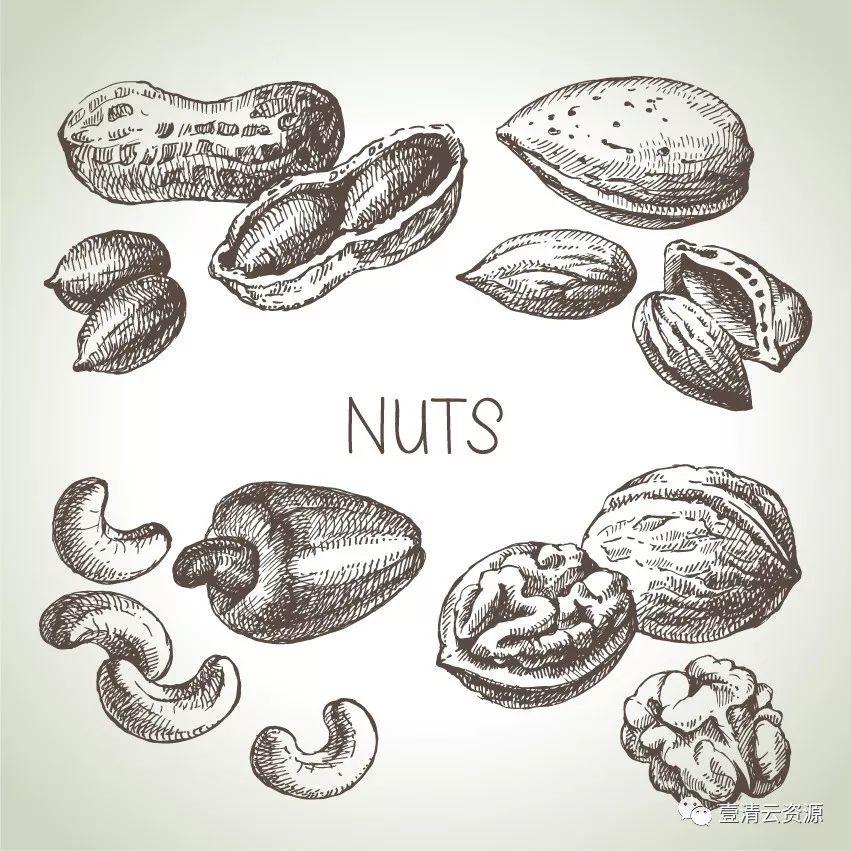 【S0348】手绘线稿插画食物食材蔬菜水果肉类海鲜背景菜单设计矢量图片素材