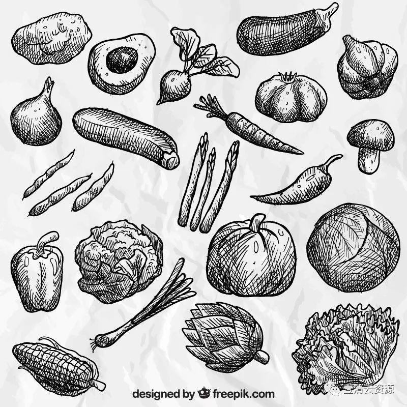 【S0348】手绘线稿插画食物食材蔬菜水果肉类海鲜背景菜单设计矢量图片素材