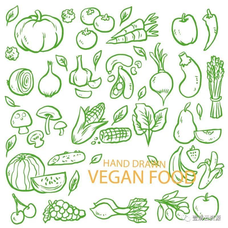 【S0348】手绘线稿插画食物食材蔬菜水果肉类海鲜背景菜单设计矢量图片素材