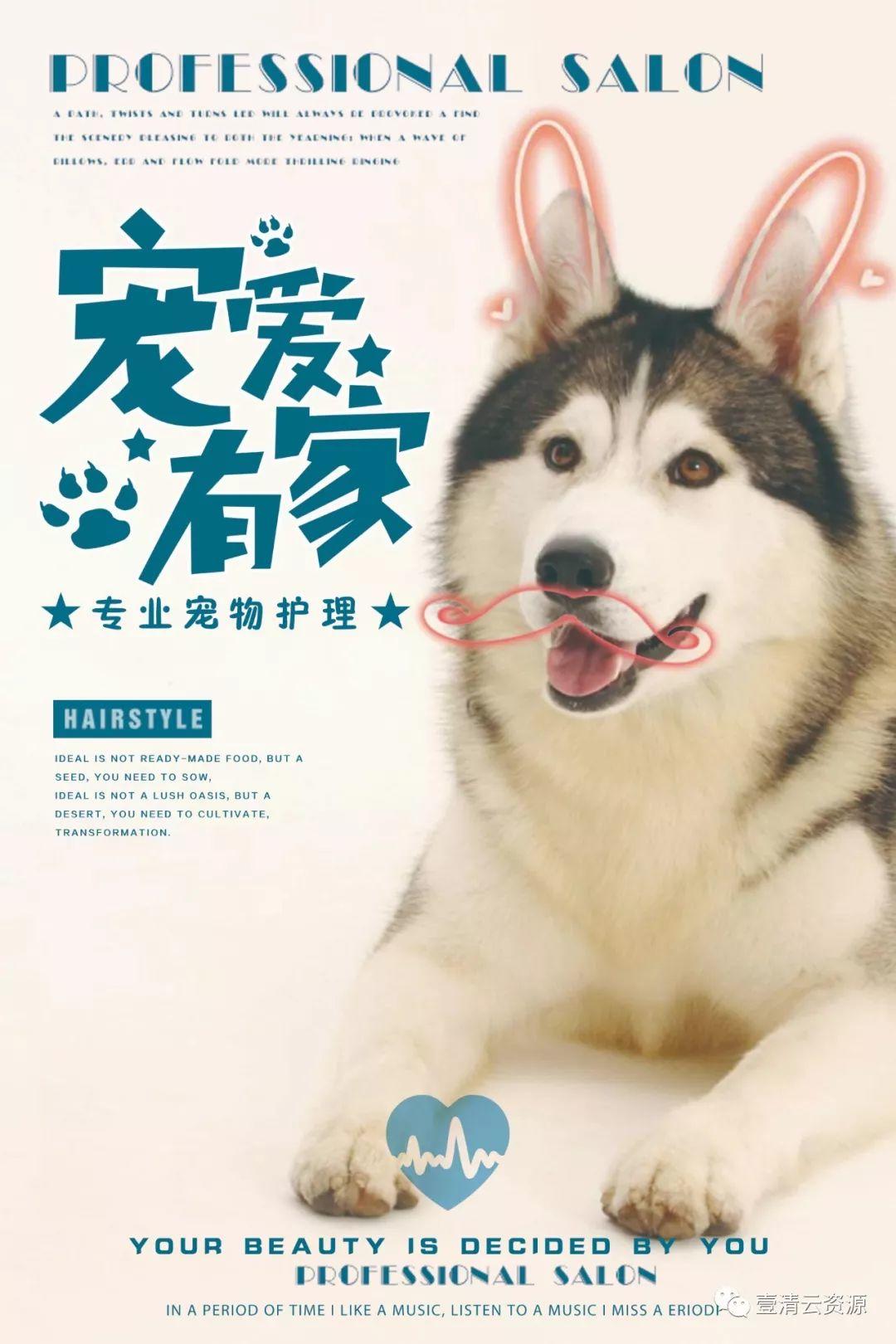 【S0422】【素材】壹清云资源宠物海报商店店铺素材PSD设计源文件