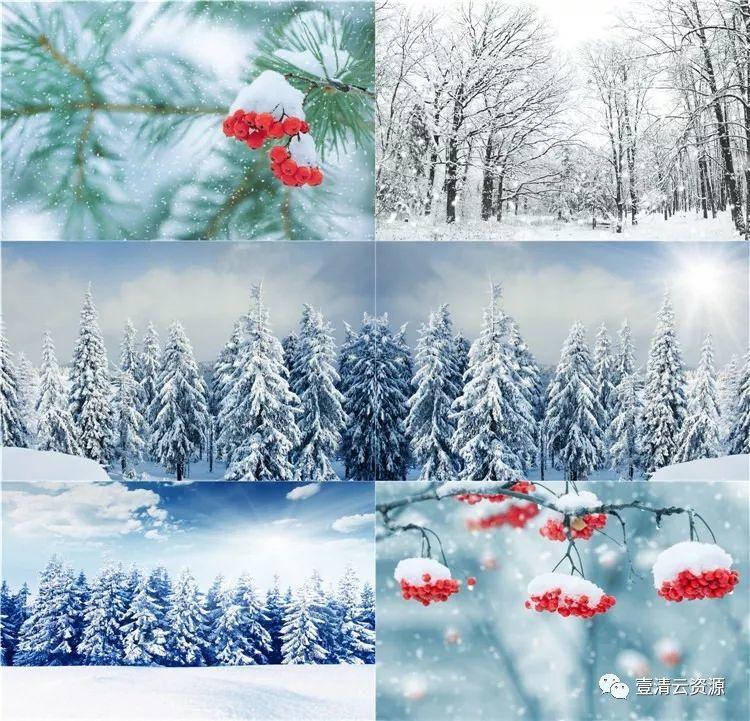 【S0435】【素材】冬季雪景冬日JPG设计素材源文件