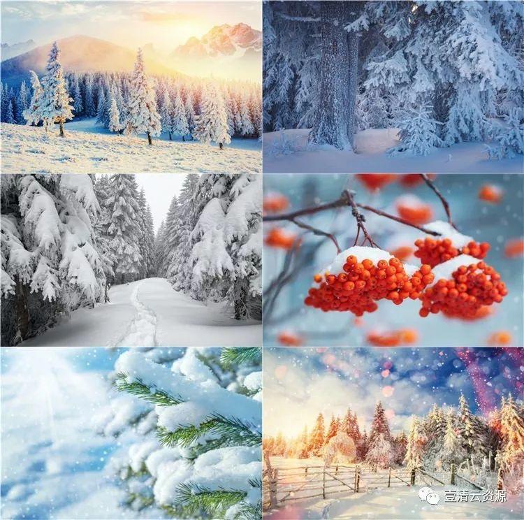 【S0435】【素材】冬季雪景冬日JPG设计素材源文件