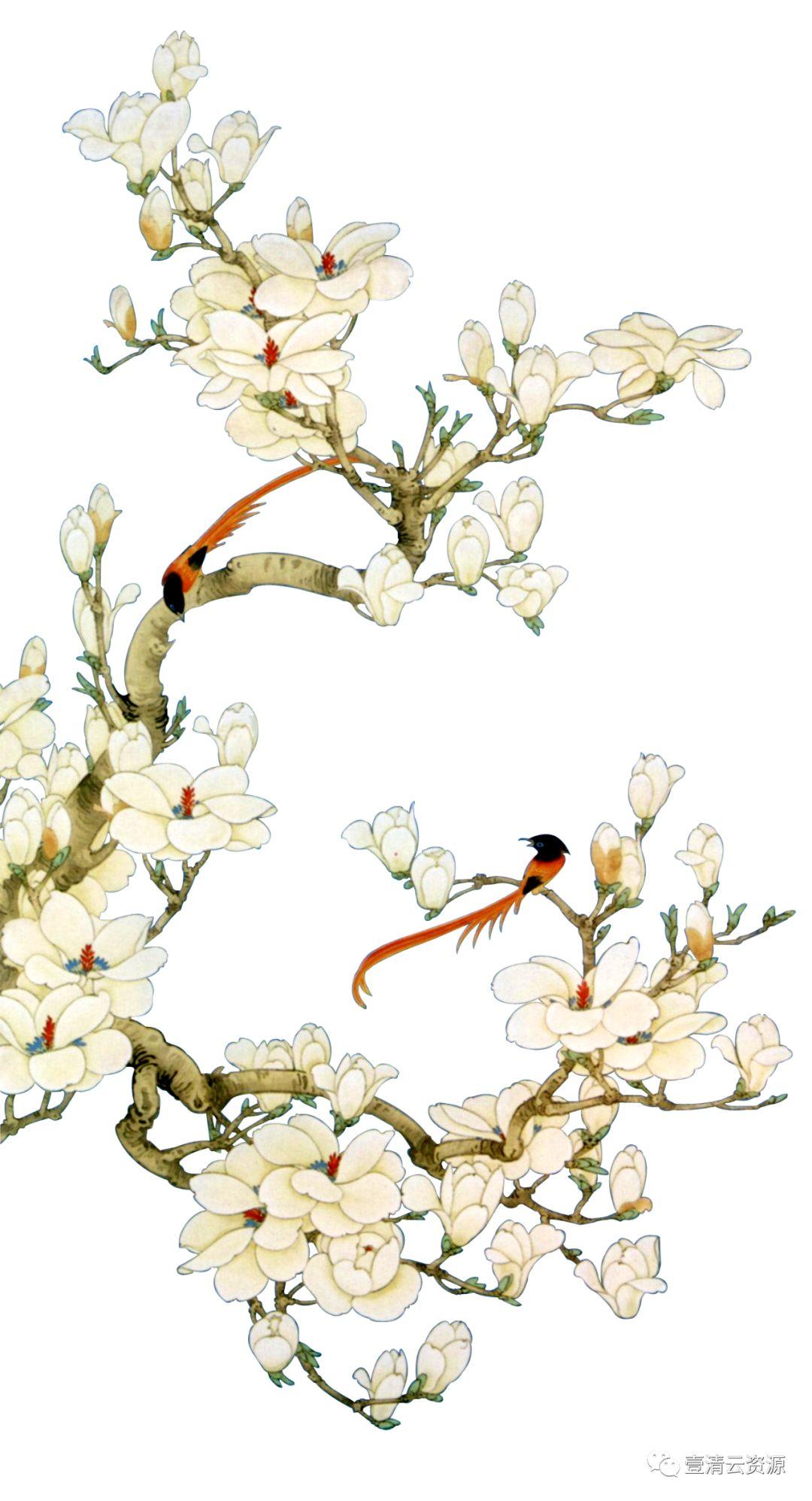 【S0456】【素材】中国风工笔画牡丹梅花鹿仙鹤花卉PNG免抠高清平面设计ps图片素材