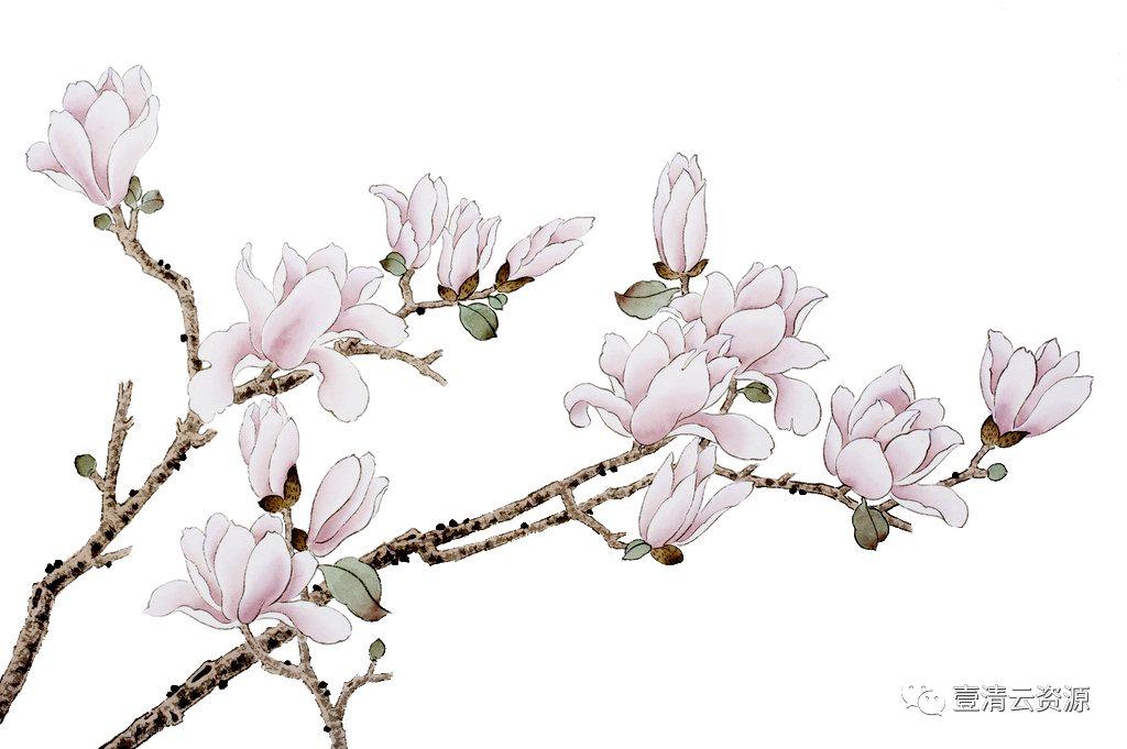 【S0456】【素材】中国风工笔画牡丹梅花鹿仙鹤花卉PNG免抠高清平面设计ps图片素材