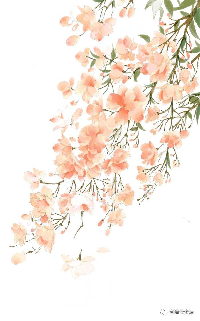 【S0456】【素材】中国风工笔画牡丹梅花鹿仙鹤花卉PNG免抠高清平面设计ps图片素材