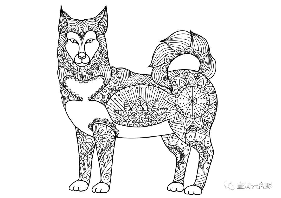 【S0471】【素材】时尚手绘线稿黑白插画动物人物独角兽马鲸鱼背景装饰矢量图片素材