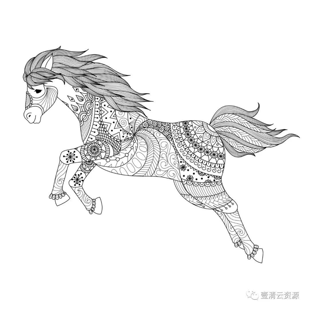 【S0471】【素材】时尚手绘线稿黑白插画动物人物独角兽马鲸鱼背景装饰矢量图片素材