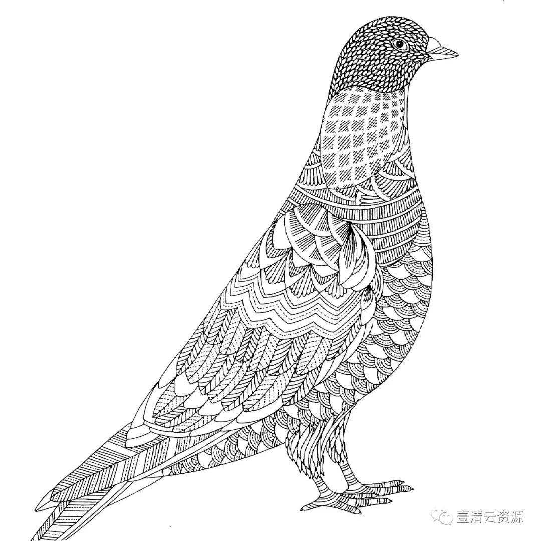 【S0471】【素材】时尚手绘线稿黑白插画动物人物独角兽马鲸鱼背景装饰矢量图片素材