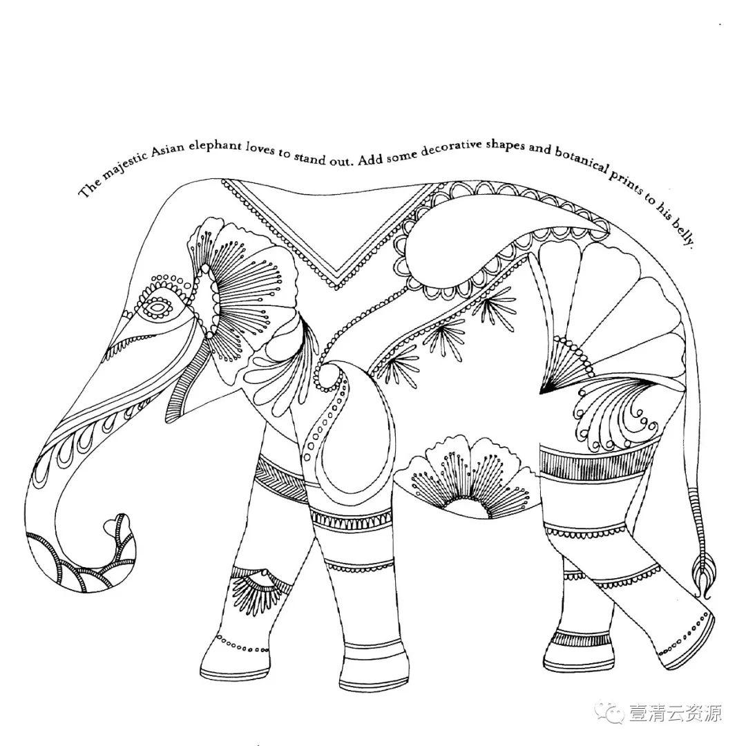【S0471】【素材】时尚手绘线稿黑白插画动物人物独角兽马鲸鱼背景装饰矢量图片素材