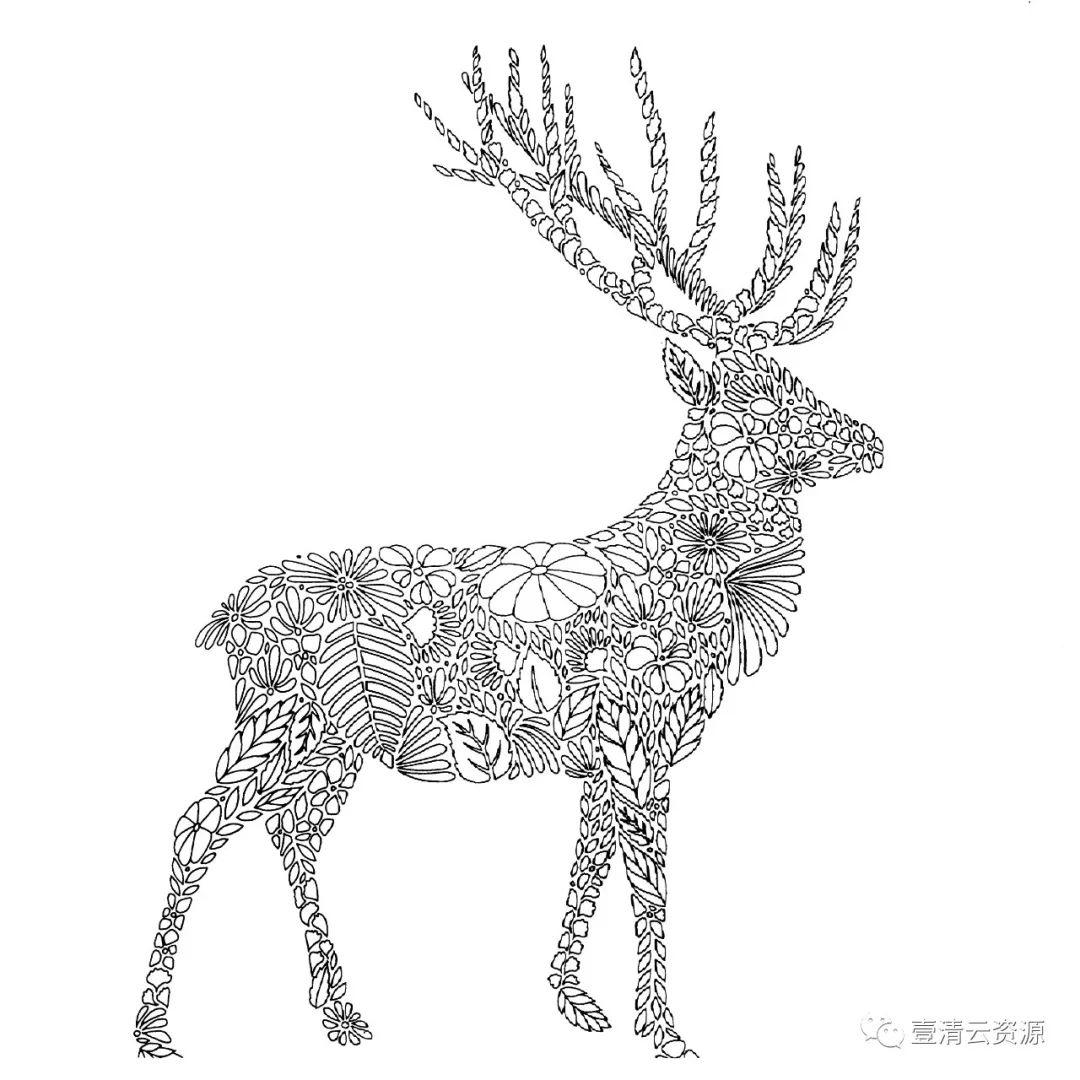 【S0471】【素材】时尚手绘线稿黑白插画动物人物独角兽马鲸鱼背景装饰矢量图片素材
