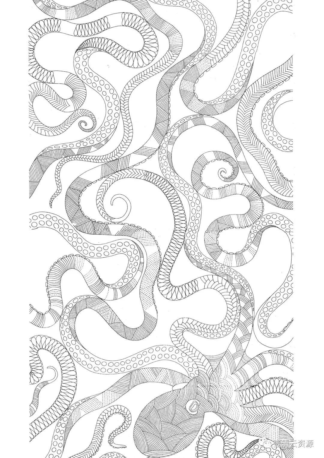 【S0471】【素材】时尚手绘线稿黑白插画动物人物独角兽马鲸鱼背景装饰矢量图片素材