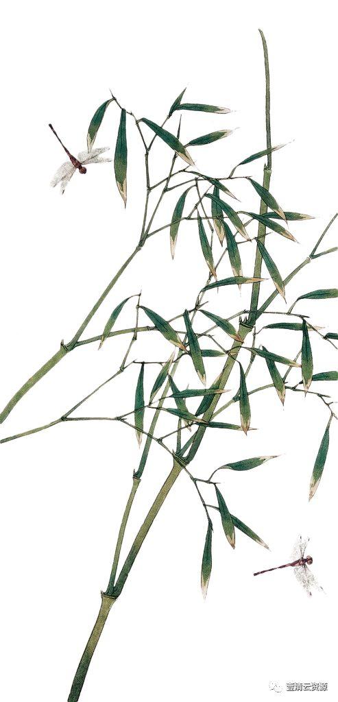 【S0479】【素材】清新插画风景枝叶花朵PNG免抠设计素材源文件