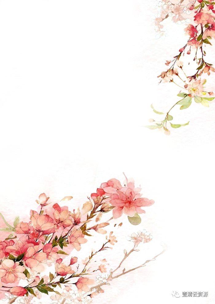 【S0479】【素材】清新插画风景枝叶花朵PNG免抠设计素材源文件