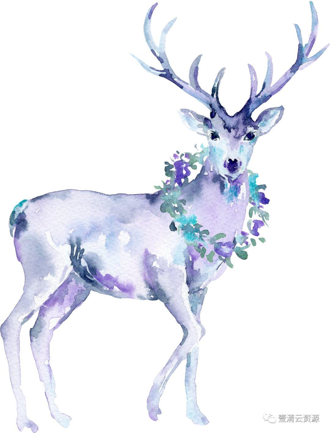 【S0481】【素材】圣诞节奇幻森林水彩插画PNG设计素材源文件