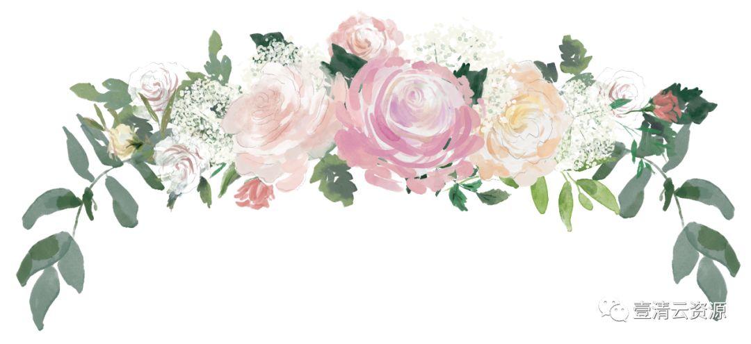 【S0485】【素材】高清水彩淡雅玫瑰花鲜花植物图片PNG免抠剪贴画PS设计素材源文件