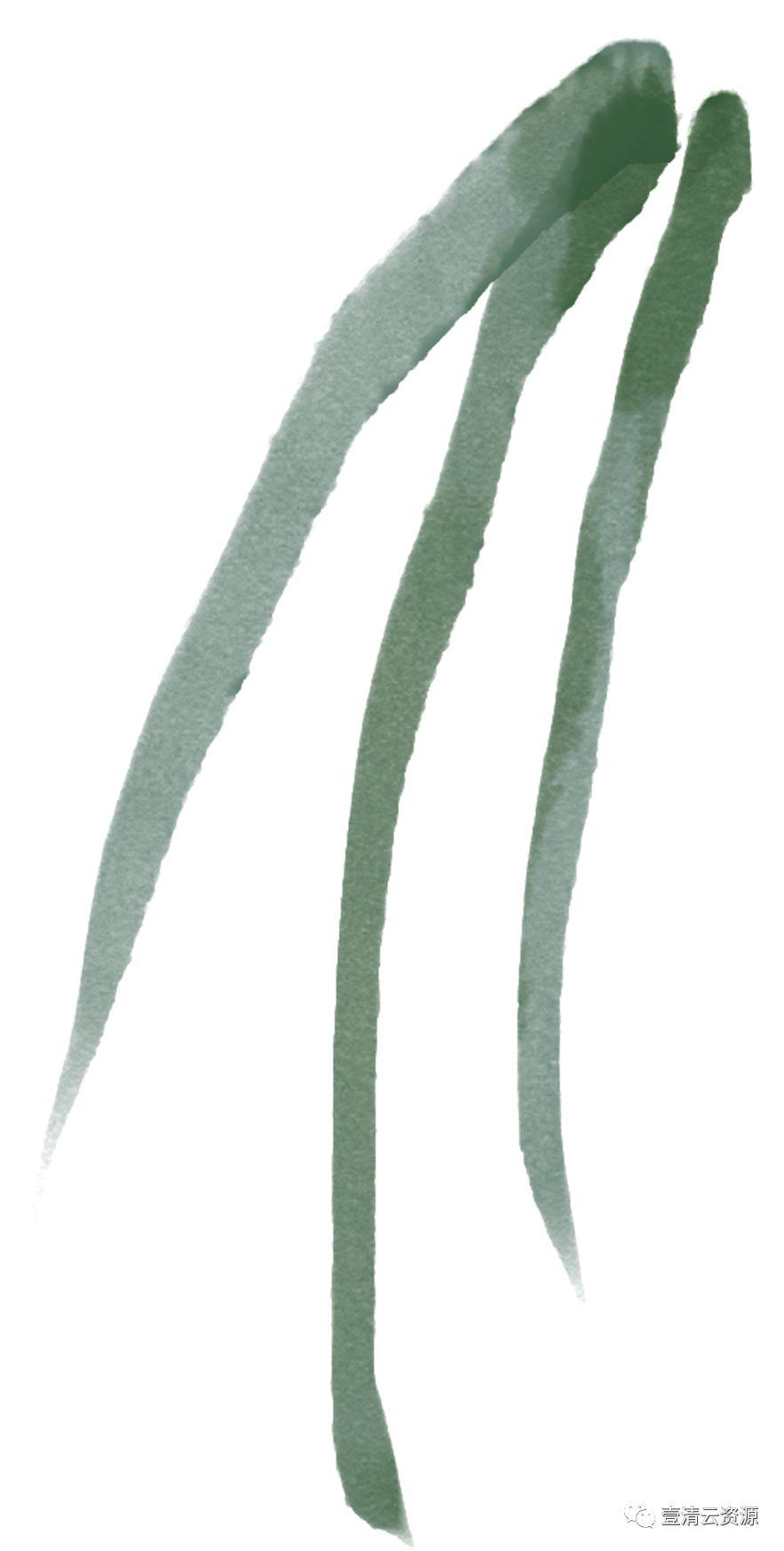 【S0485】【素材】高清水彩淡雅玫瑰花鲜花植物图片PNG免抠剪贴画PS设计素材源文件