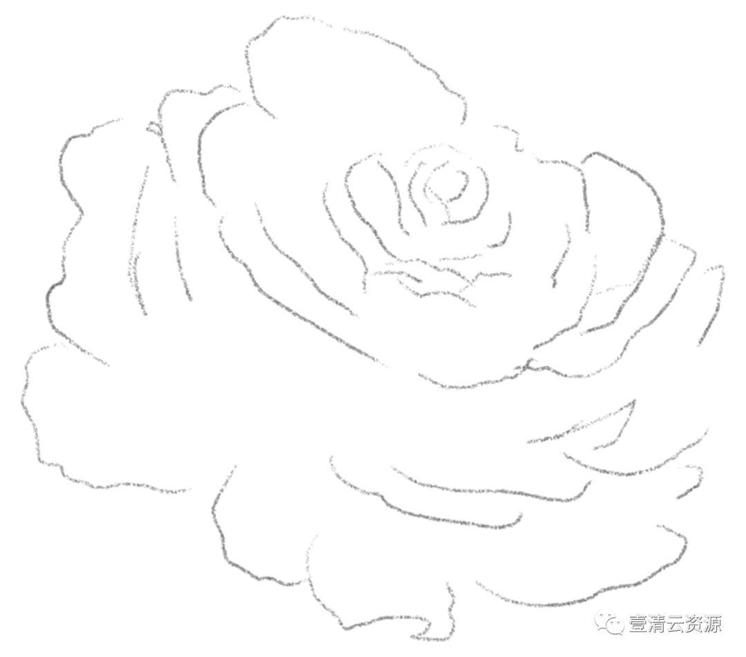 【S0485】【素材】高清水彩淡雅玫瑰花鲜花植物图片PNG免抠剪贴画PS设计素材源文件