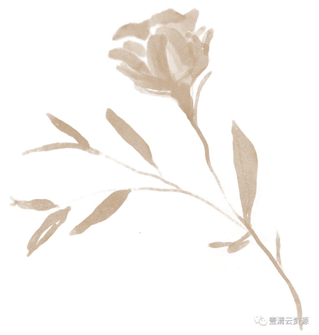 【S0485】【素材】高清水彩淡雅玫瑰花鲜花植物图片PNG免抠剪贴画PS设计素材源文件