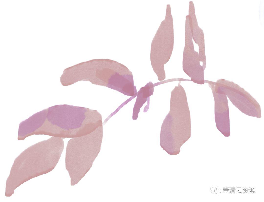 【S0485】【素材】高清水彩淡雅玫瑰花鲜花植物图片PNG免抠剪贴画PS设计素材源文件