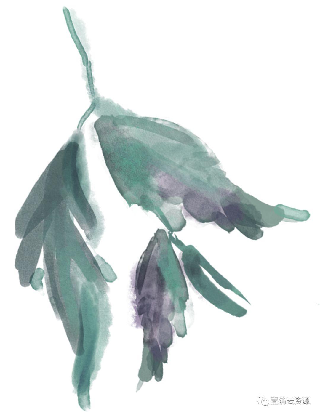 【S0485】【素材】高清水彩淡雅玫瑰花鲜花植物图片PNG免抠剪贴画PS设计素材源文件