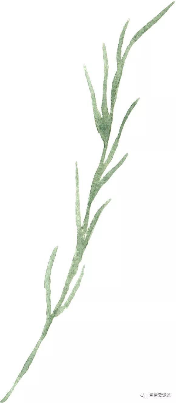 【S0489】【素材】水彩唯美花卉薰衣草紫色花环花丛png免抠图设计素材源文件