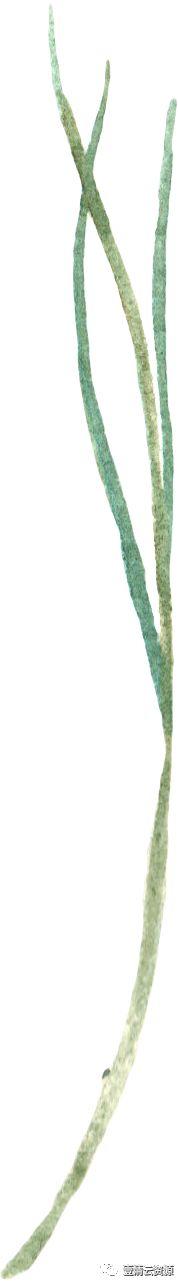 【S0489】【素材】水彩唯美花卉薰衣草紫色花环花丛png免抠图设计素材源文件