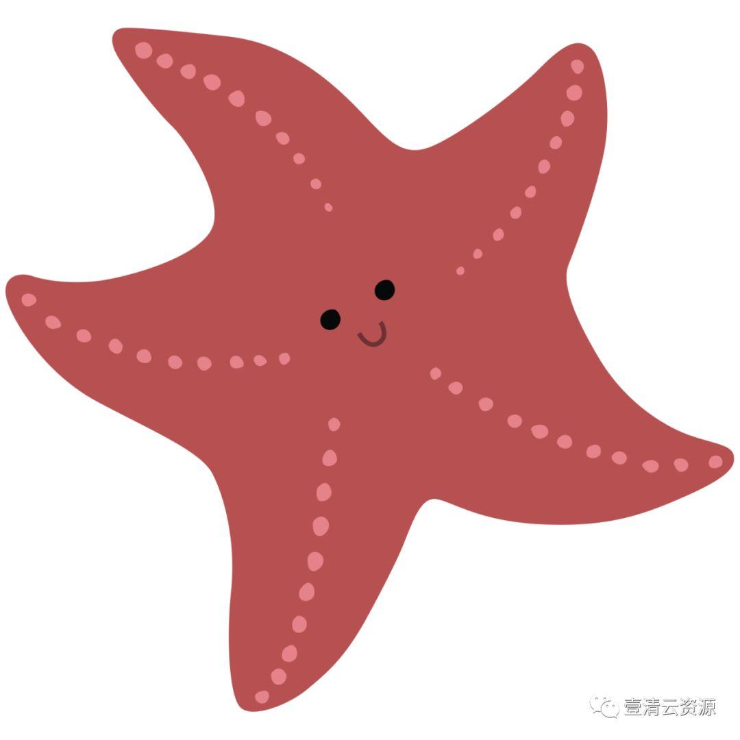 【S0490】【素材】海洋生物螃蟹水母章鱼海星鲸鱼PN免抠AI矢量设计素材源文件