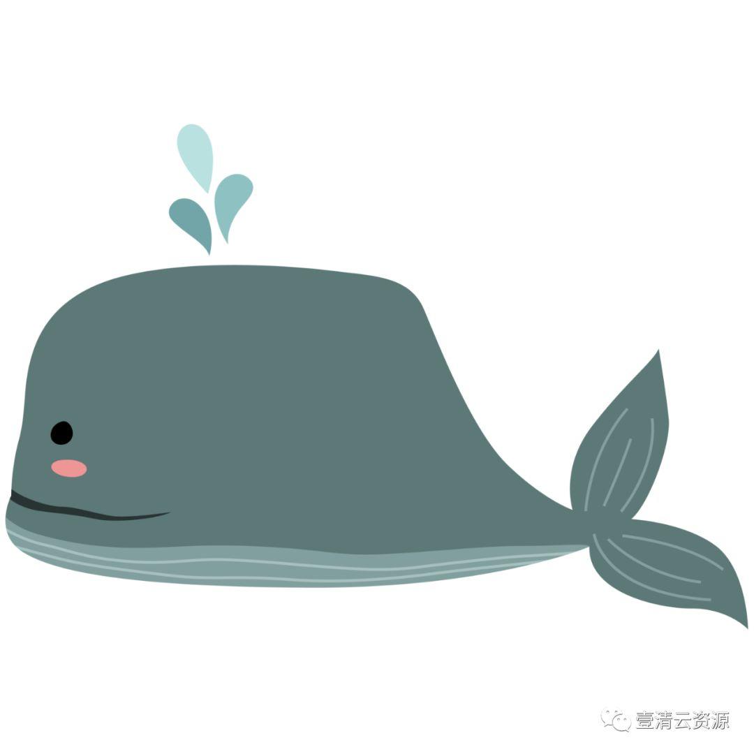 【S0490】【素材】海洋生物螃蟹水母章鱼海星鲸鱼PN免抠AI矢量设计素材源文件