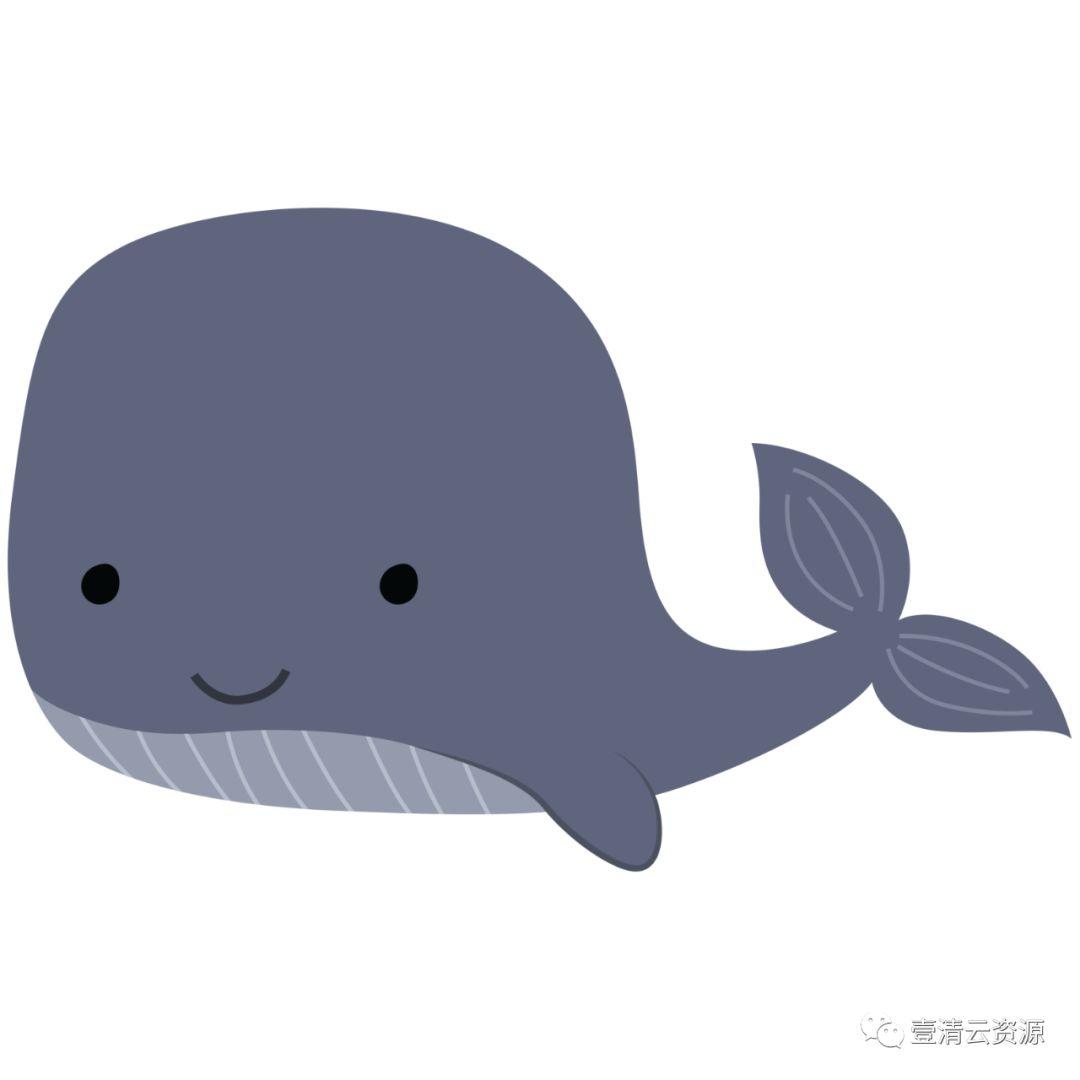 【S0490】【素材】海洋生物螃蟹水母章鱼海星鲸鱼PN免抠AI矢量设计素材源文件