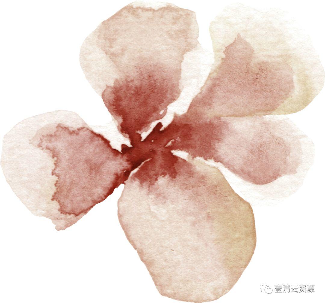 【S0511】【素材】秋天主题落叶色调水彩花卉叶子植物PNG免扣剪贴画PS设计素材