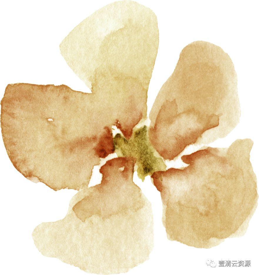 【S0511】【素材】秋天主题落叶色调水彩花卉叶子植物PNG免扣剪贴画PS设计素材