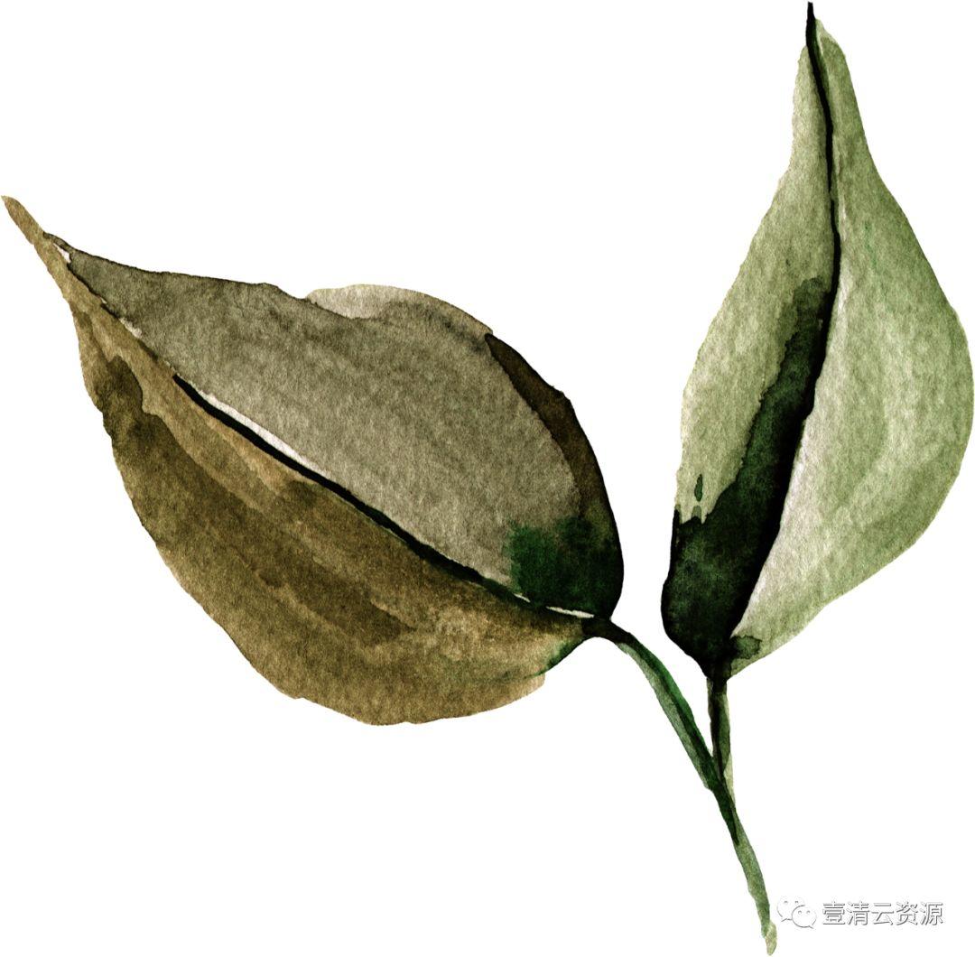【S0511】【素材】秋天主题落叶色调水彩花卉叶子植物PNG免扣剪贴画PS设计素材