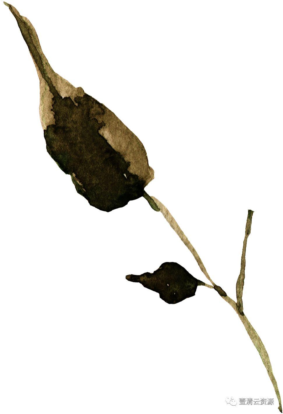 【S0511】【素材】秋天主题落叶色调水彩花卉叶子植物PNG免扣剪贴画PS设计素材
