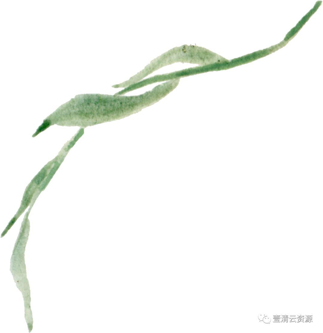 【S0519】【素材】 金橘和白色兰花手绘水彩画PNG免扣素材源文件