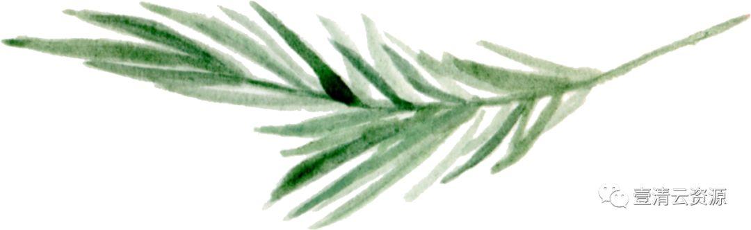 【S0519】【素材】 金橘和白色兰花手绘水彩画PNG免扣素材源文件