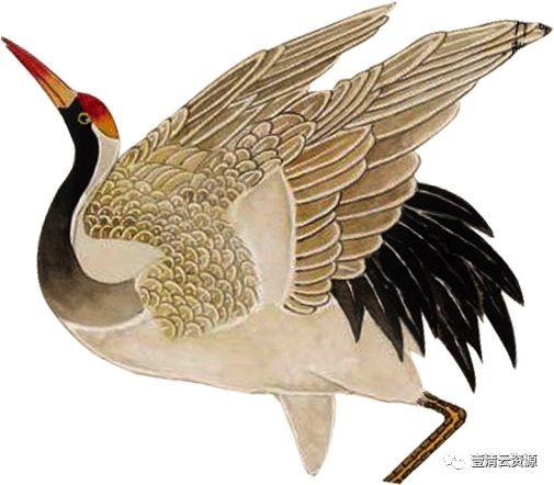 【S0522】【素材】古风仙鹤丹顶鹤中国风古典元素图片装饰PNG免扣透明设计素材